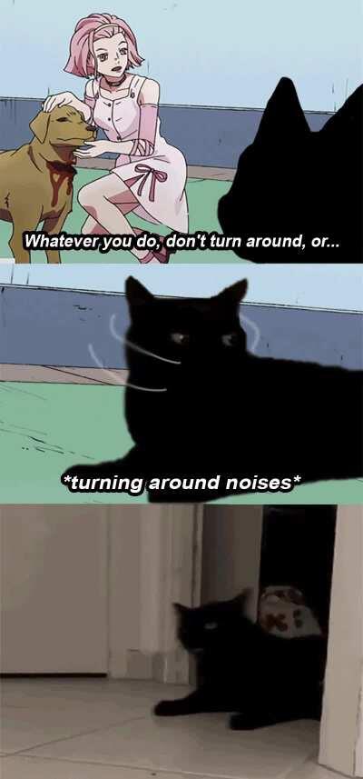 To The Shadow Realm You Go