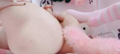 ur clumsy pet gf [f]