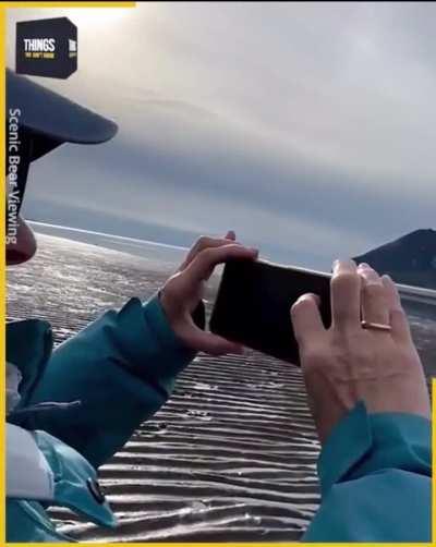 What not to do in a Bear encounter