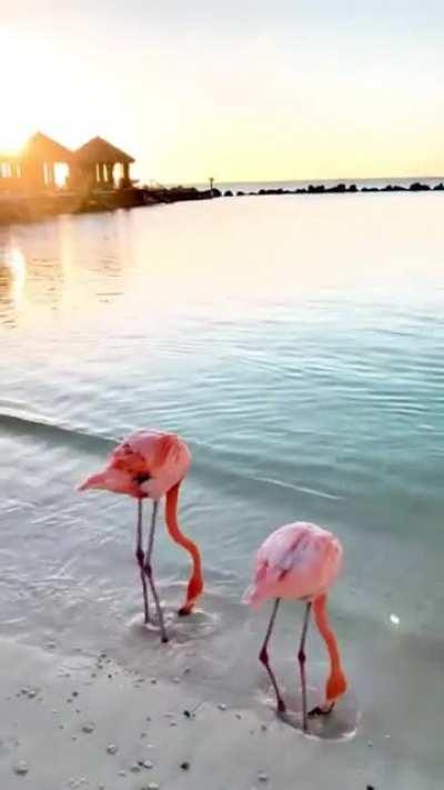 🔥 two naughty little ones