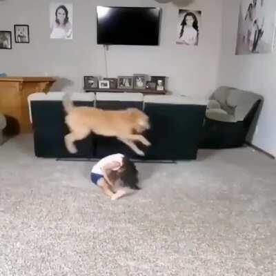 Probably the most wholesome video you will watch today