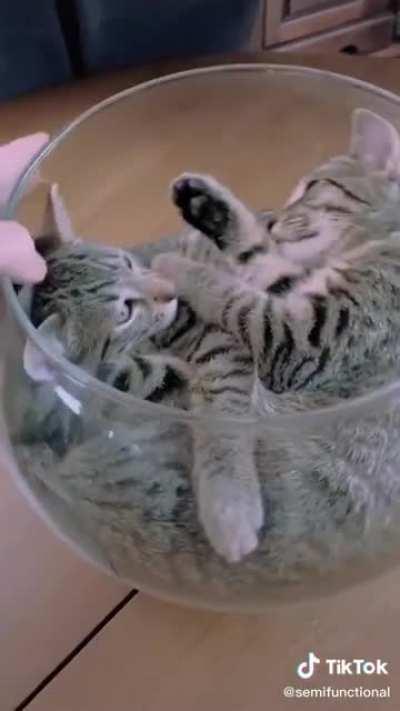 we all have those ..don't we? (found on tiktok @semifunctional)