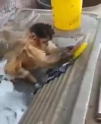 He cleans his clothes. Do you? 😄