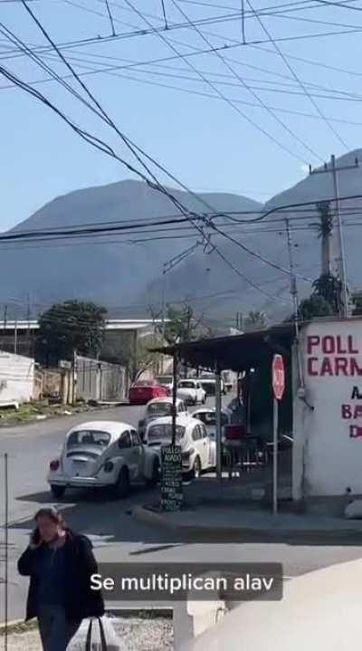 Papa Fernado's Paradise