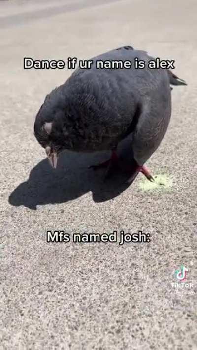 When your name isn’t Alex