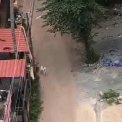 Bohot Fati padi hai vro