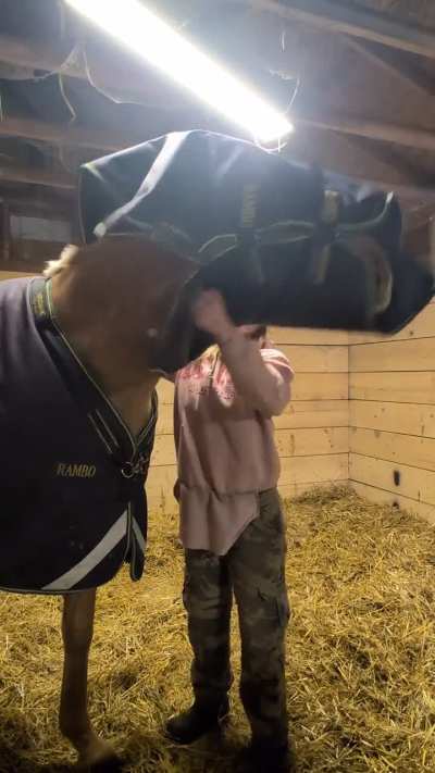 If hoods make you irk too, why not train them to put it on themselves?