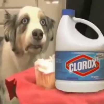 The memories hasn’t escaped 