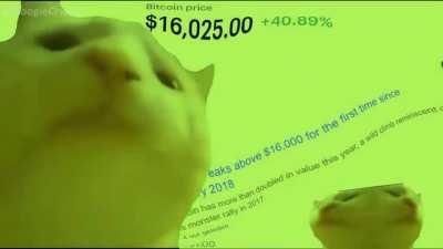 ฿itcoin at the moment!