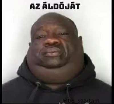 top 5 Hungarian bad word