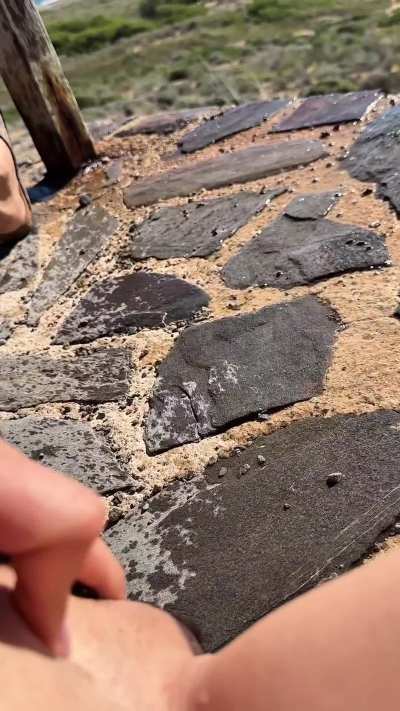 Hey, this is my first post here!