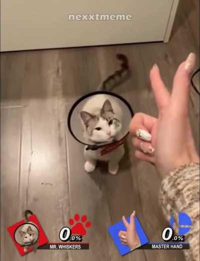 [Mid-Effort] Super Smash Cat Ultimate!!