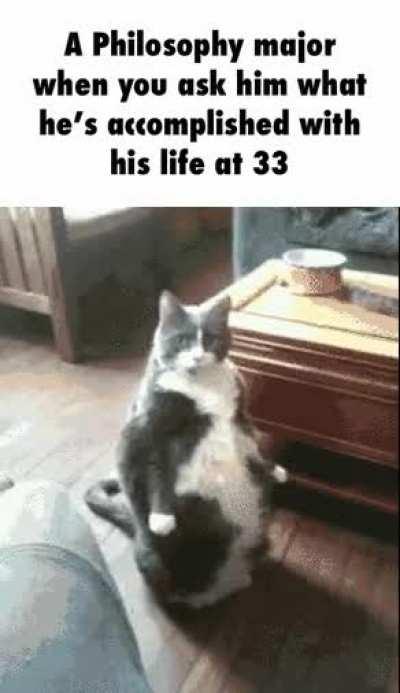 methamphetamine > college