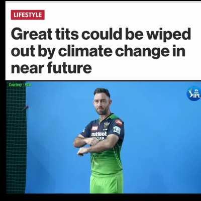 coincidence?I think not