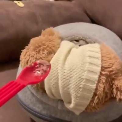 He can smell food from a mile away >:)