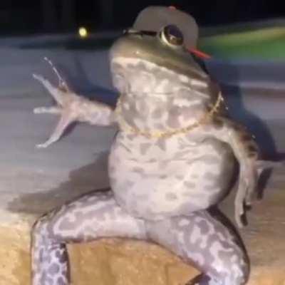 Look at this drip 🔥