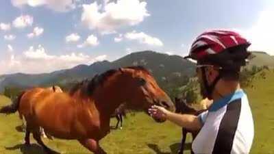 How cute.... let me touch....