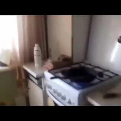 Thorcubed cocinando: