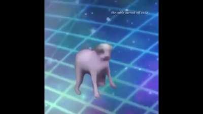 Me when rocket league music