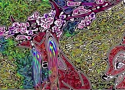 Found this on my phone, don’t remember where its from