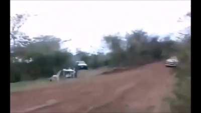 Epic Rally moment. That pup is just happy to be involved and to be getting some attention.