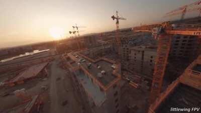 A nice line, good timing and perfect lighting.