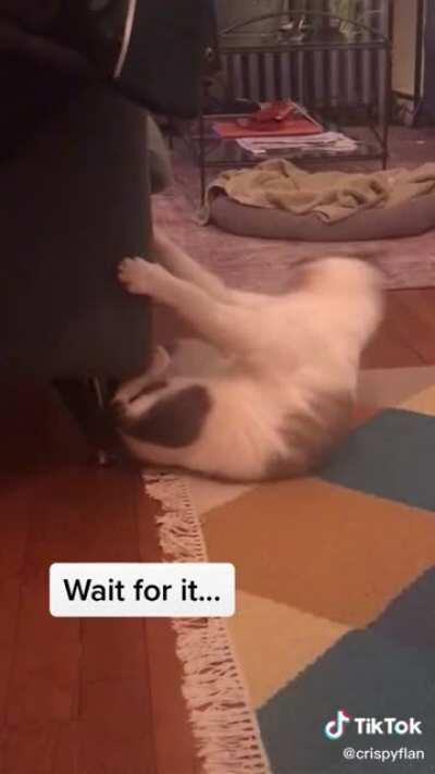 I think quarantine is getting to him