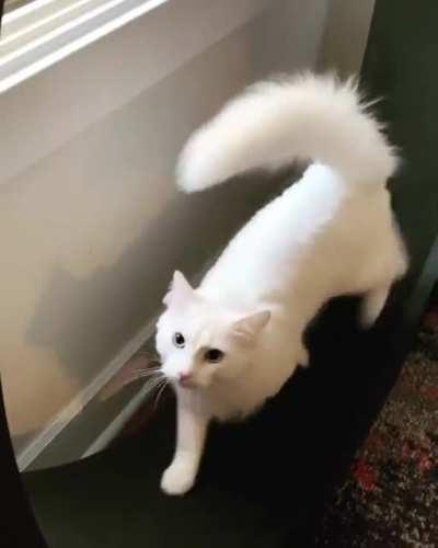 grEEdY rEddIT ceO eXpLOiTs pOoR dUde to serVERs cOstS