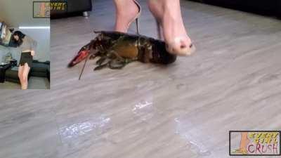 Very sexy delicate feet in high heel sandals put a lobster in agony (part 2 in comments)