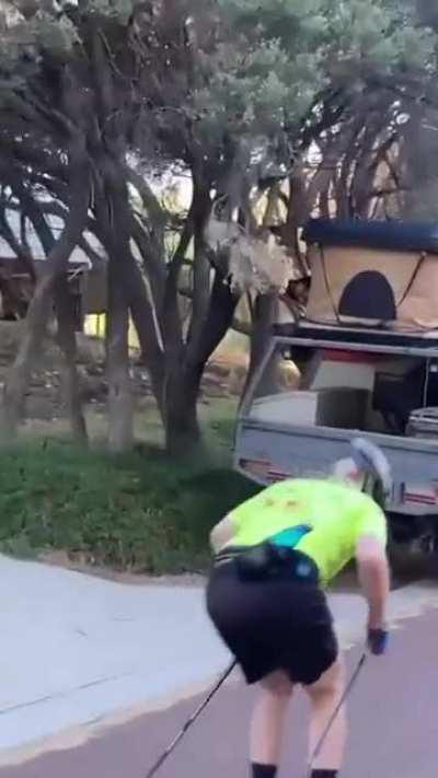 Ski training in summer