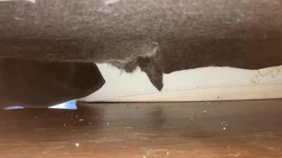 Making sure it’s safe before reentry