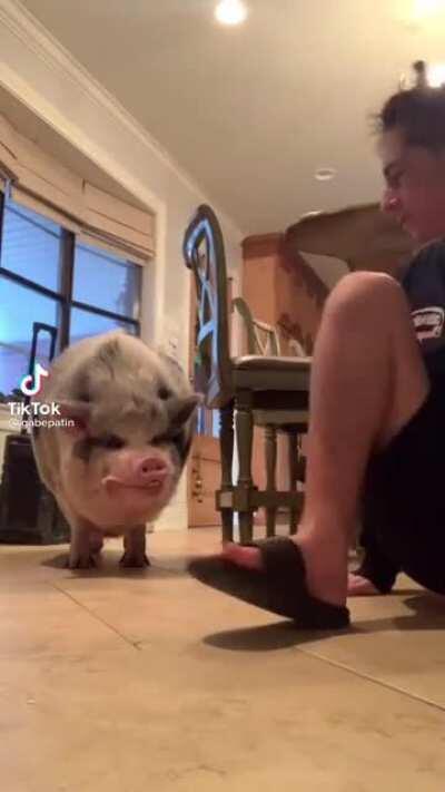 When I say abrupt I mean ABRUPT