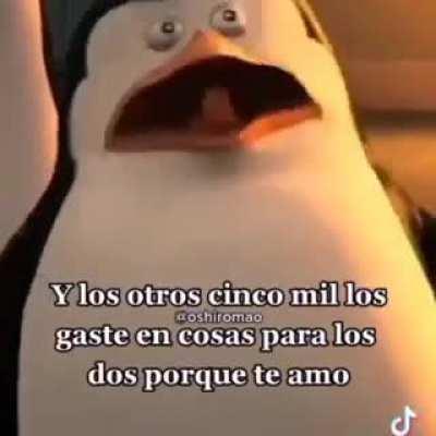 Cual escoje admin? 😮