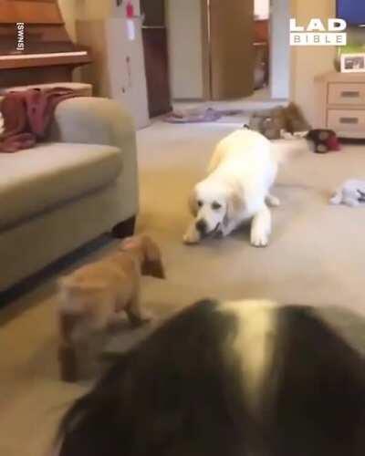 Excited to meet his little brother :)