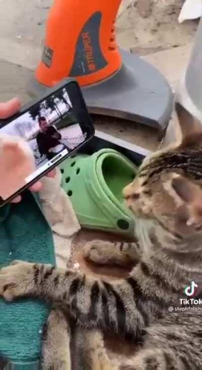 DON'T STOP, WON'T STOP, GAMESTOP!