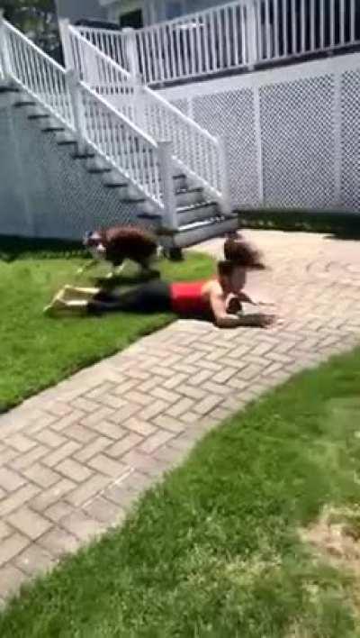 Missile of Absolute Fur Sweeps the Legs