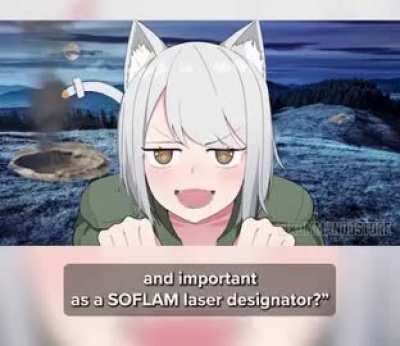 Losercity laser target designator