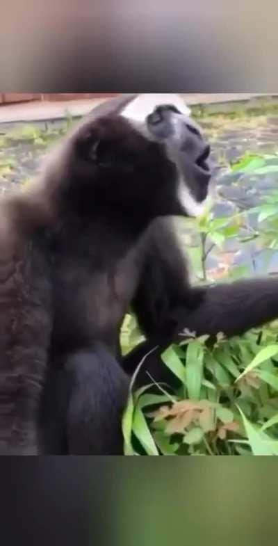 Never Seen Public Drop 😋 💋