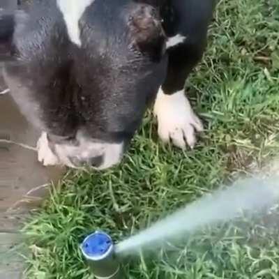 The calm before the storm