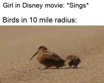 Disney movies be like