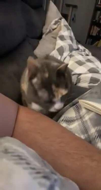 Excuse me, I need love!