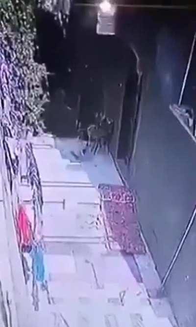 🇮🇱🇵🇸 An Israeli rocket landed on a Palestinian man's home in Beit Hanoun, but by a lucky chance did not explode.