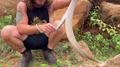Youtuber gets bit by a cobra