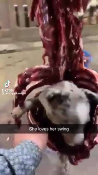 Doggy god a new swing