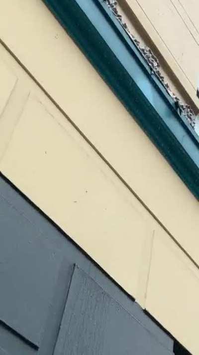 It was not raining at all. This building has built in sprinklers to spray the sidewalk next to it so no homeless people are able to shelter.