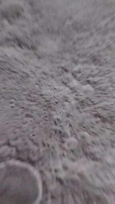   This is the first in a series of animations that pay tribute to the one who did it the best. 