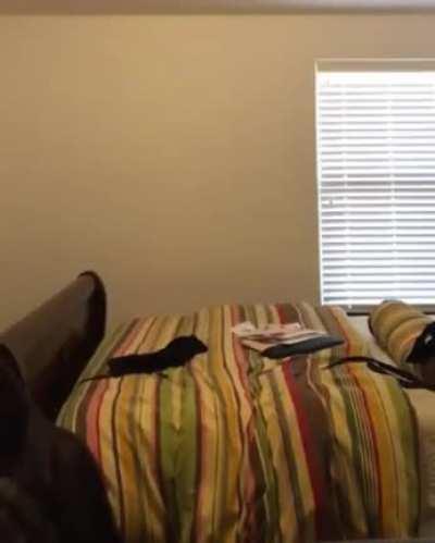 Shouldn’t have pushed her