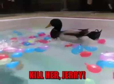 Many assassins are now designing personal attack drones to get the job done