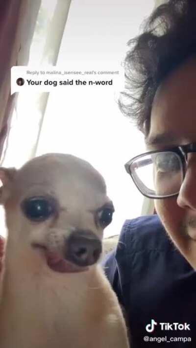 I laughed at this for a solid 10 minutes