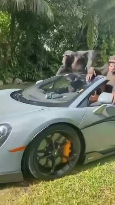 The homie/wife/wife’s boyfriend and I once AMC squeezes to $1,000